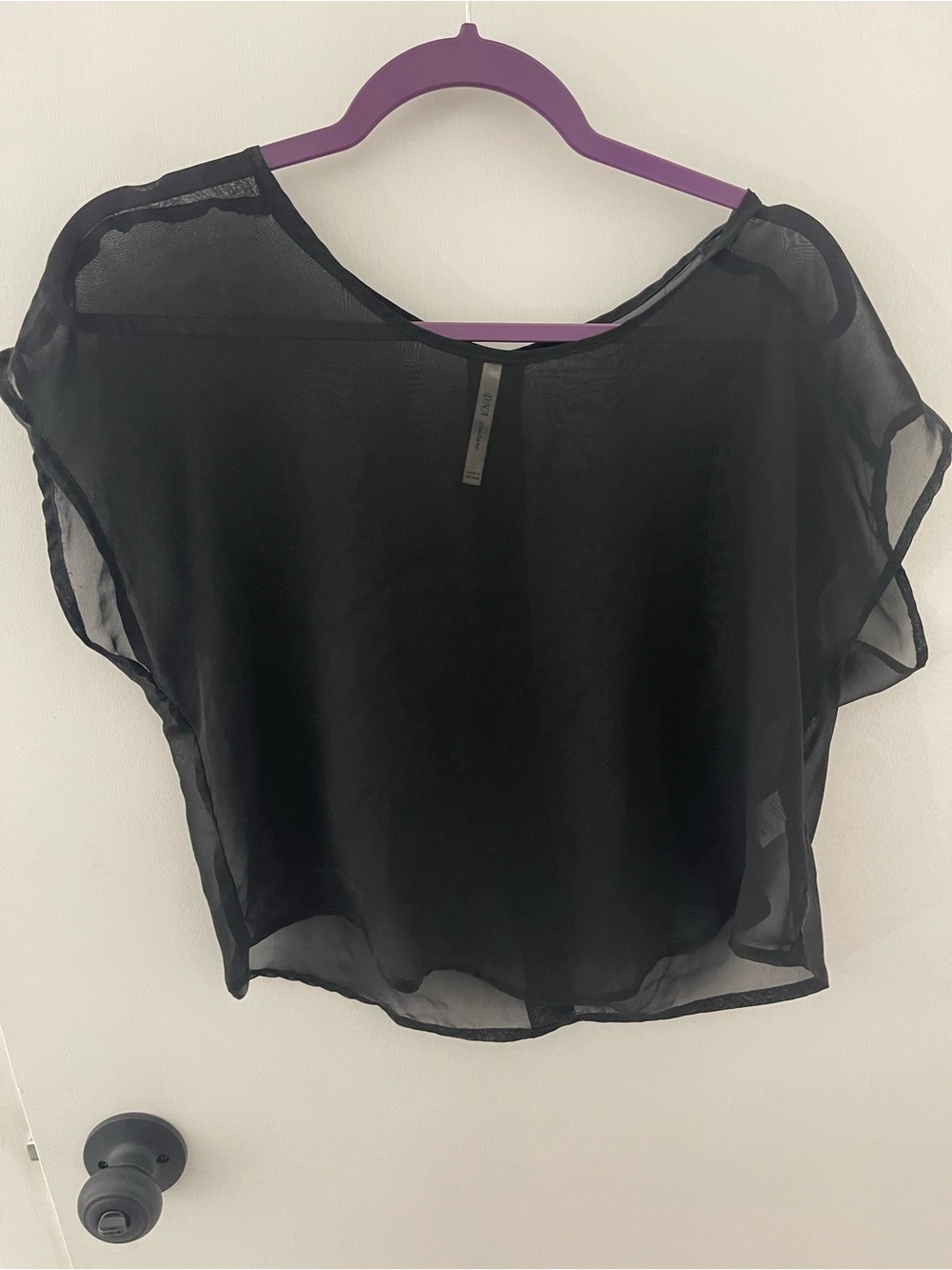 Sheer Black Boxy Short-Sleeve Blouse